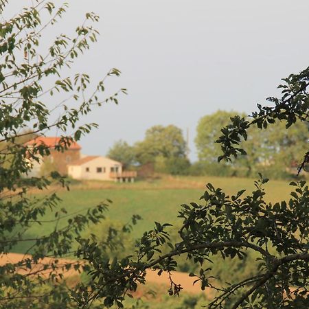 Pour Les Amoureux De La Nature. Saint-Cirgue Esterno foto